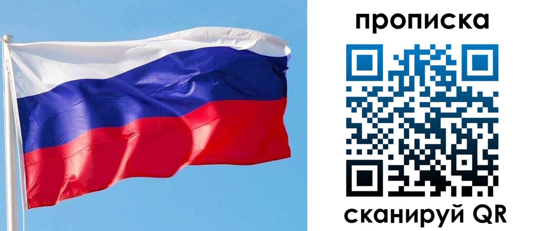 прописка поиск в Павловском Посаде